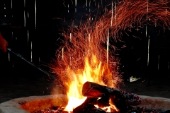 DSCN3627