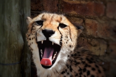 DSCN3765